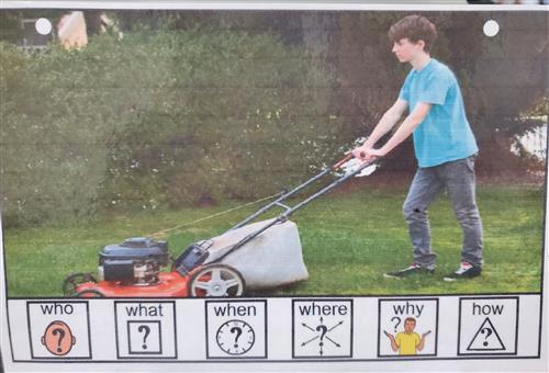 Mow Lawn 